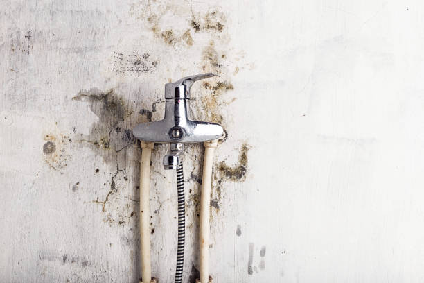 Best Mold Remediation Services  in Huron, SD