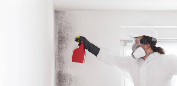 Best Commercial Mold Removal  in Huron, SD