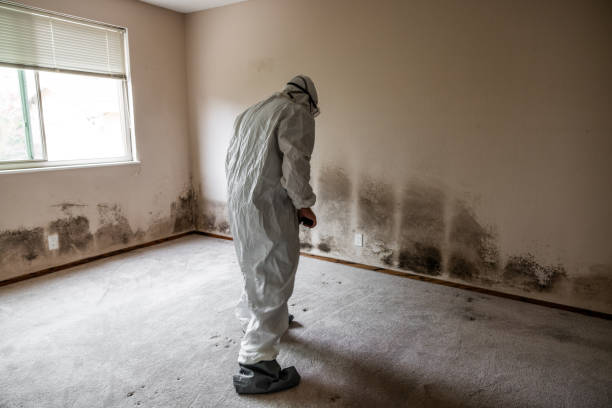 Crawl Space Mold Removal in Huron, SD